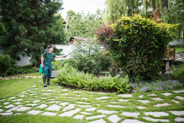 Best Pest Prevention Services  in Ada, OH