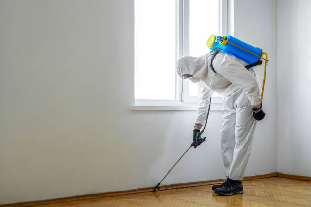 Best Wasp Removal Services  in Ada, OH