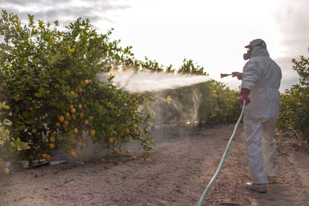 Best Pest Removal Services  in Ada, OH