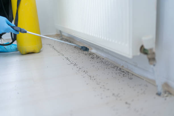Best Emergency Pest Control  in Ada, OH