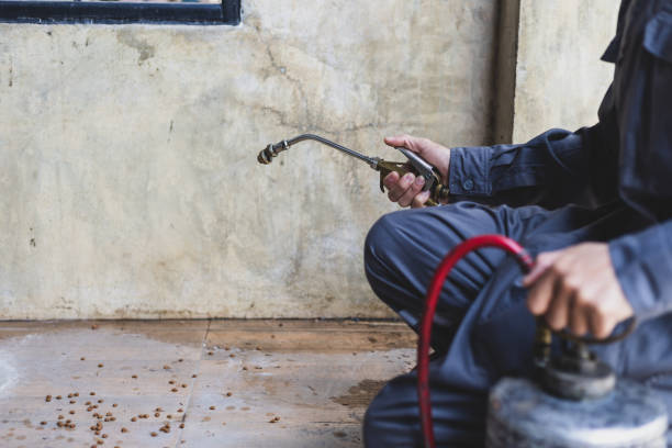 Best Exterminator Services  in Ada, OH